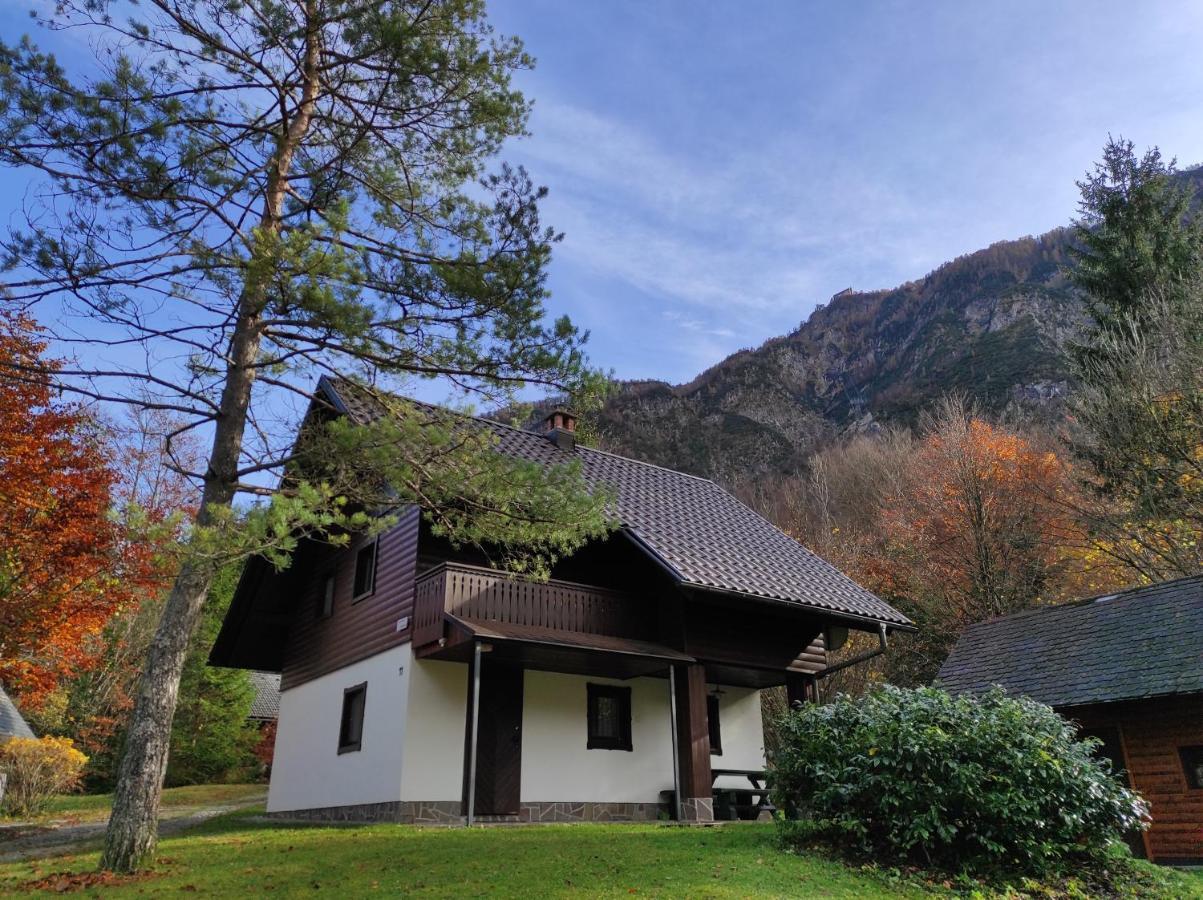 Apartmaji Zupancic Bohinj Eksteriør billede