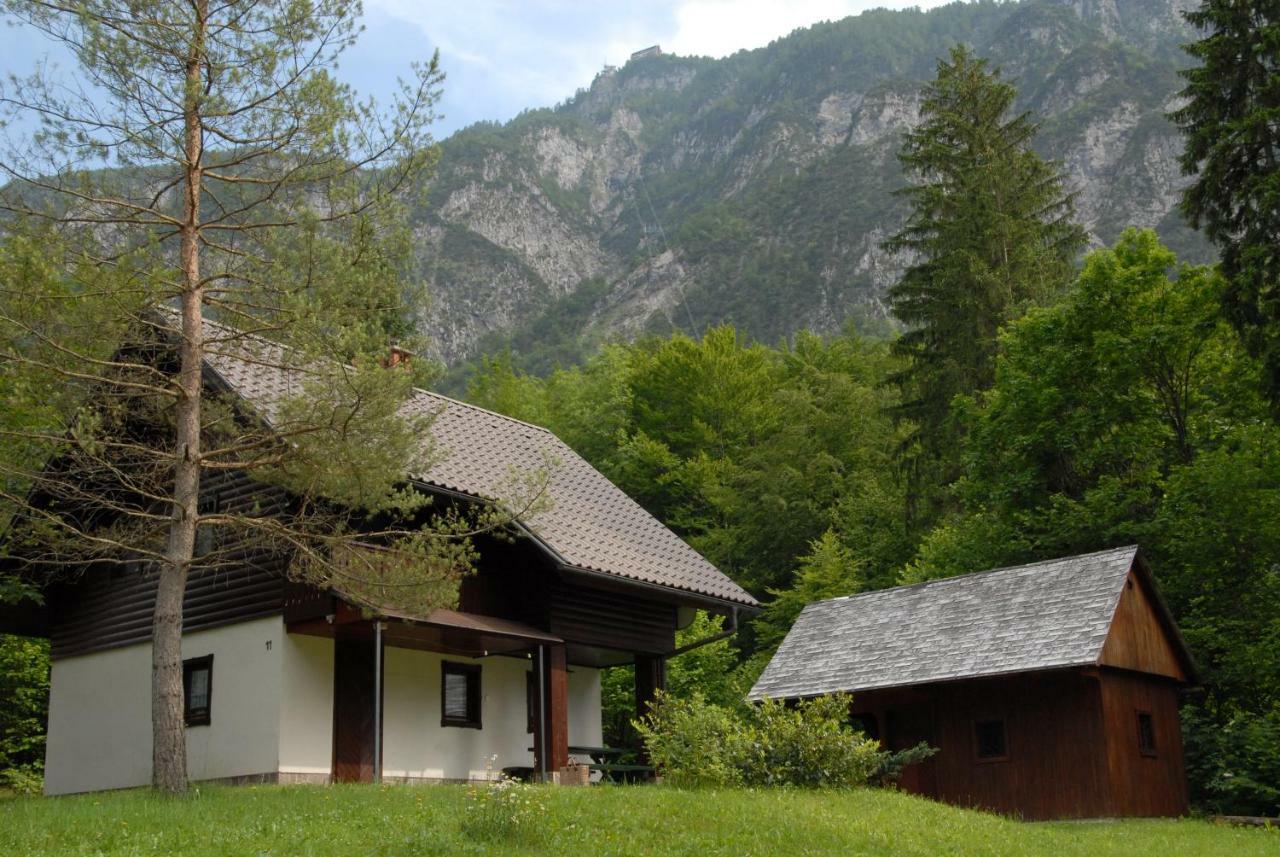 Apartmaji Zupancic Bohinj Eksteriør billede