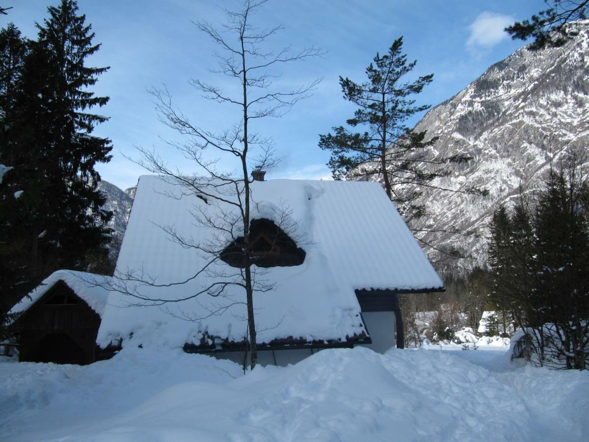 Apartmaji Zupancic Bohinj Eksteriør billede